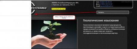 Где настраивается вид поиска "На лету" (DLE 11.2)?